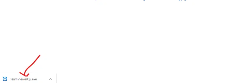 Fernwartung Schritt 3 Chrome